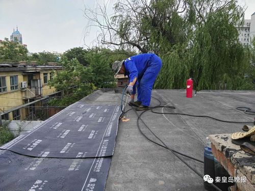 全面修缮老旧公房楼顶 6个小区123栋楼全部完工，居民告别‘屋漏愁’